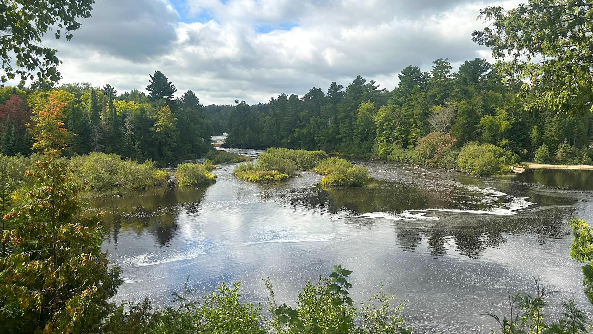 Michigan Wetlands, MWSS